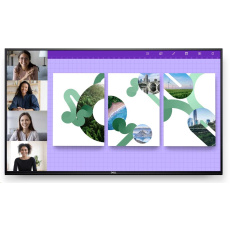 DELL LCD P5524Q 4K UHD VA LED 55"/8ms/350cd//4000:1/3840 x 2160//HDMI/DP/VGA/VESA/3YNBD